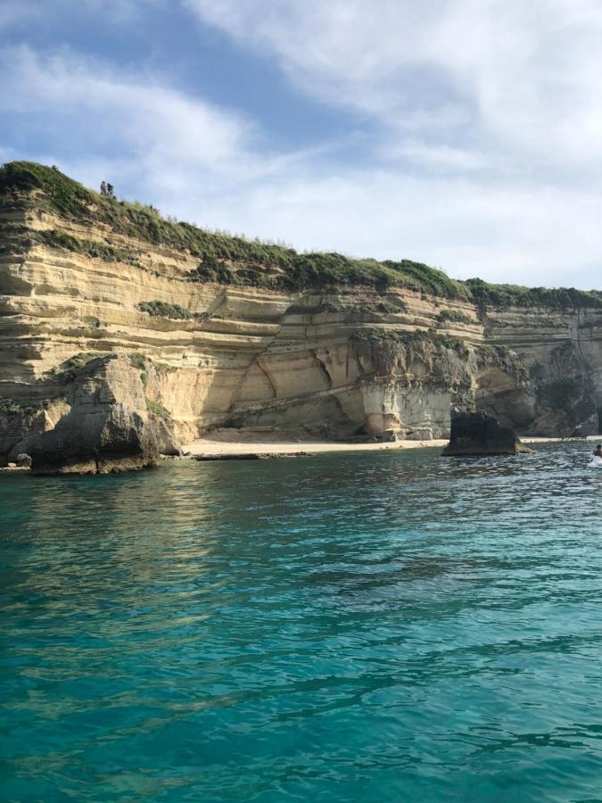 Villa Rosa Tropea Dış mekan fotoğraf